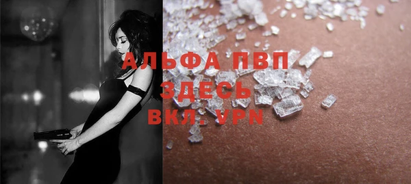 дурь Няндома
