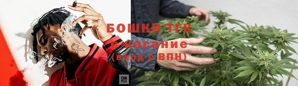 прущие грибы Нижневартовск