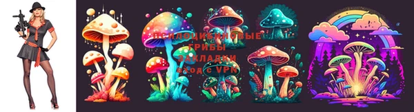 трава Гусиноозёрск