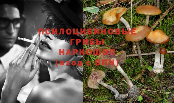 PSILOCYBIN Нягань
