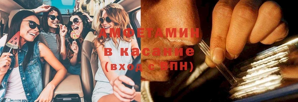 дурь Няндома
