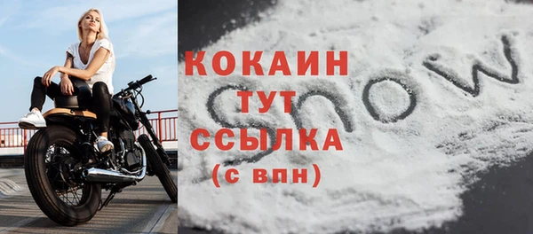 дурь Няндома