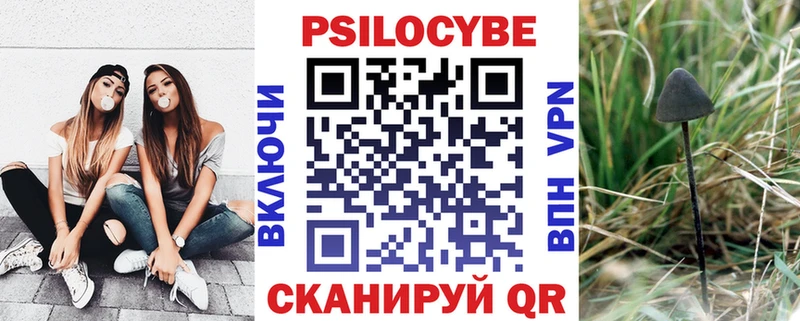 Псилоцибиновые грибы мицелий  Кыштым 