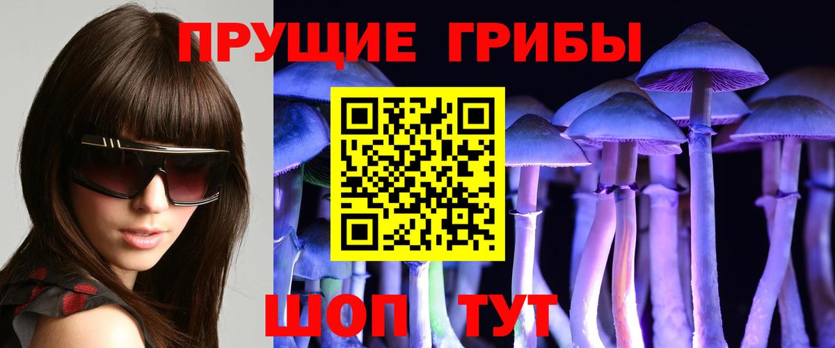 Галлюциногенные грибы мицелий  Вход с VPN  Кыштым 